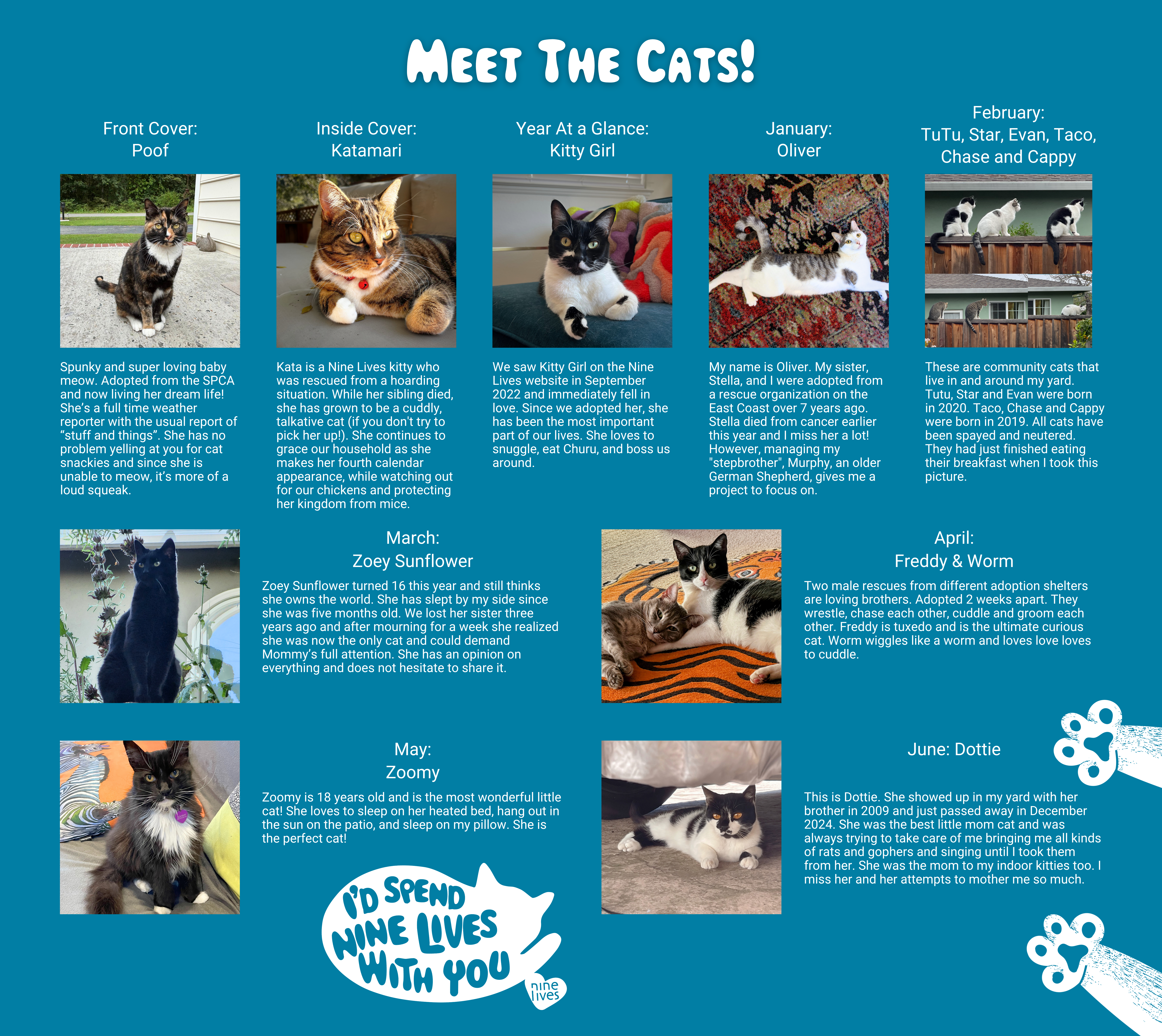 Meet the cats